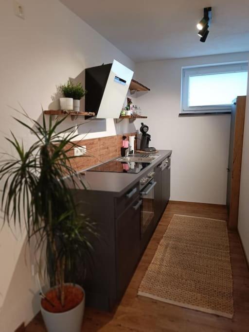 Altholzapartment In Kempten วัลเทนโฮเฟน ภายนอก รูปภาพ